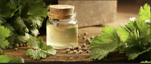 annotation 2026 04 05 091412