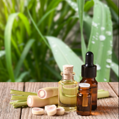 annotation 2026 04 05 094522