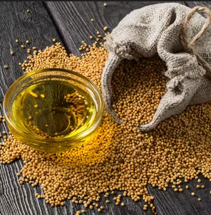 annotation 2026 04 05 094737