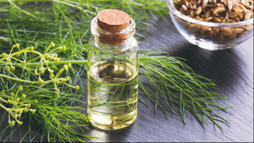 annotation 2026 04 05 094958