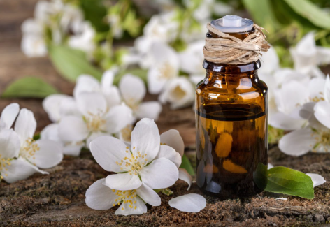 annotation 2026 04 05 095115