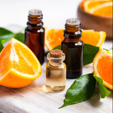 annotation 2026 04 05 101332