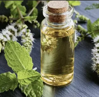 annotation 2026 04 05 101452