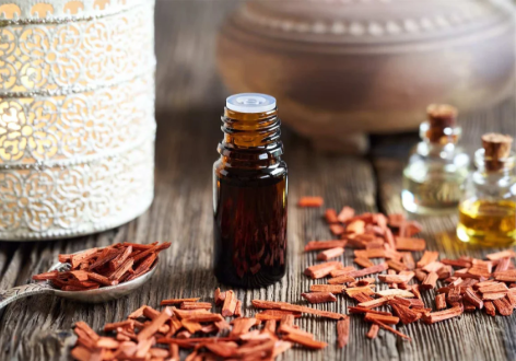 annotation 2026 04 05 101542