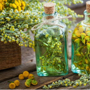 screenshot 2026 04 04 030920