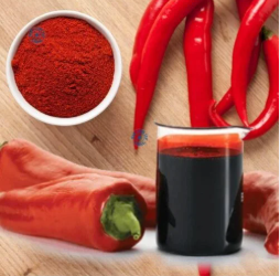 screenshot 2026 04 05 053110